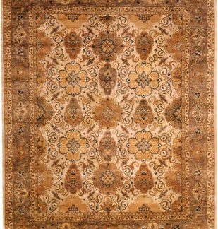 Traditional Area Rugs 107