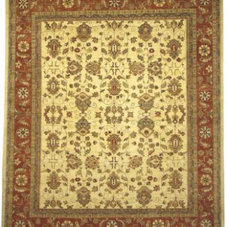 Traditional Area Rugs 111
