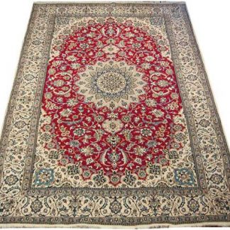 Traditional Area Rugs 119
