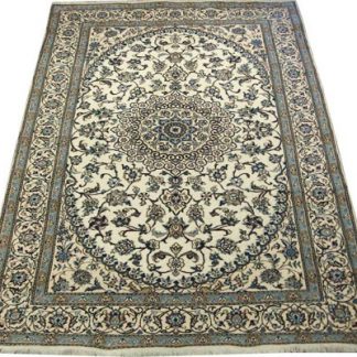 Traditional Area Rugs 120