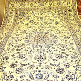 Traditional Area Rugs 121