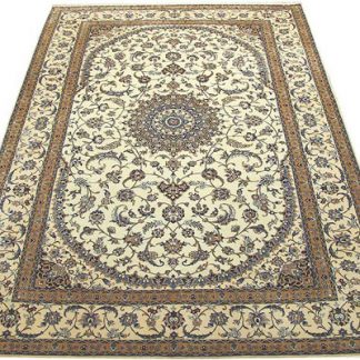 Traditional Area Rugs 124