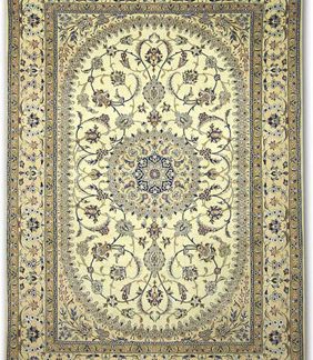 Traditional Area Rugs 125