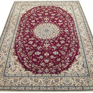 Traditional Area Rugs 126