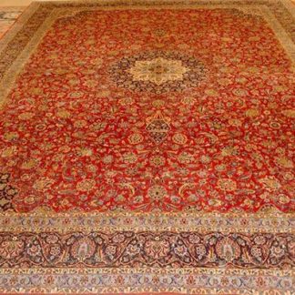 Traditional Area Rugs 133