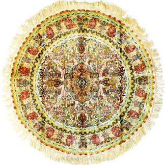 Traditional Area Rugs 137