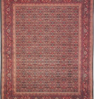 Traditional Area Rugs 141