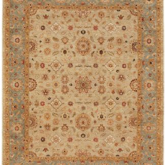 Traditional Area Rugs 17