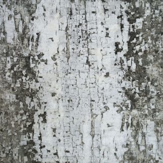 Contemporary Area Carpet 38