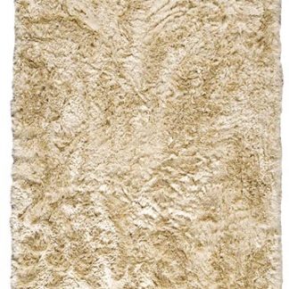 Shag Carpet 3