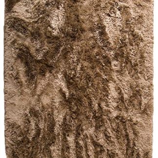 Shag Carpet 4
