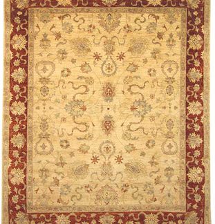 Traditional Area Rugs 96